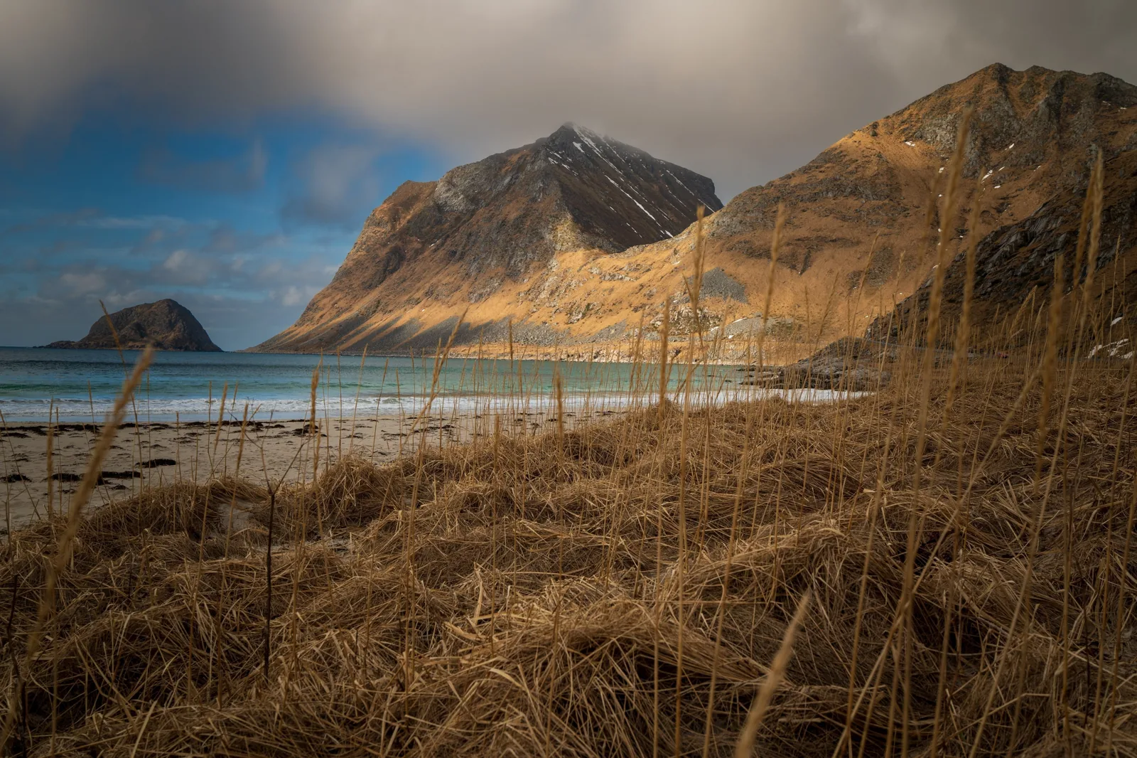 Arctic Meadow — Golden Light, fine art photography print