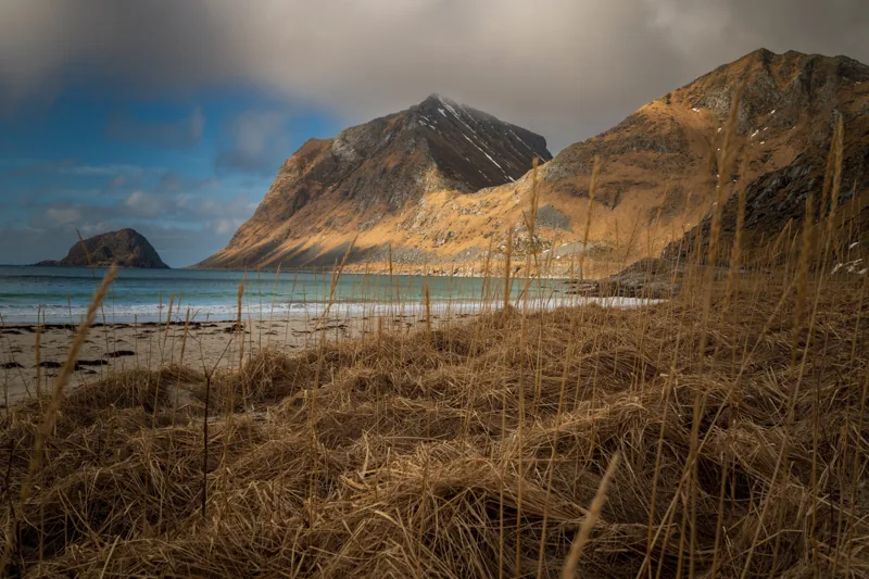 Arctic Meadow — Golden Light, fine art print