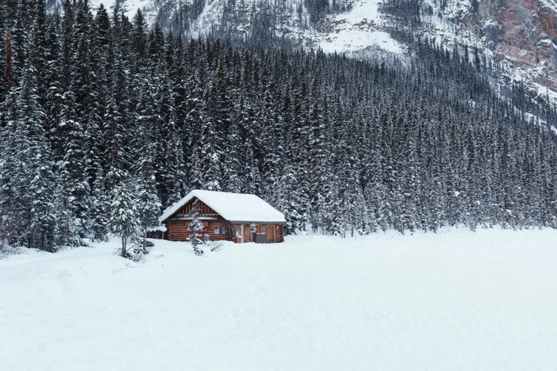 Winter Solitude
