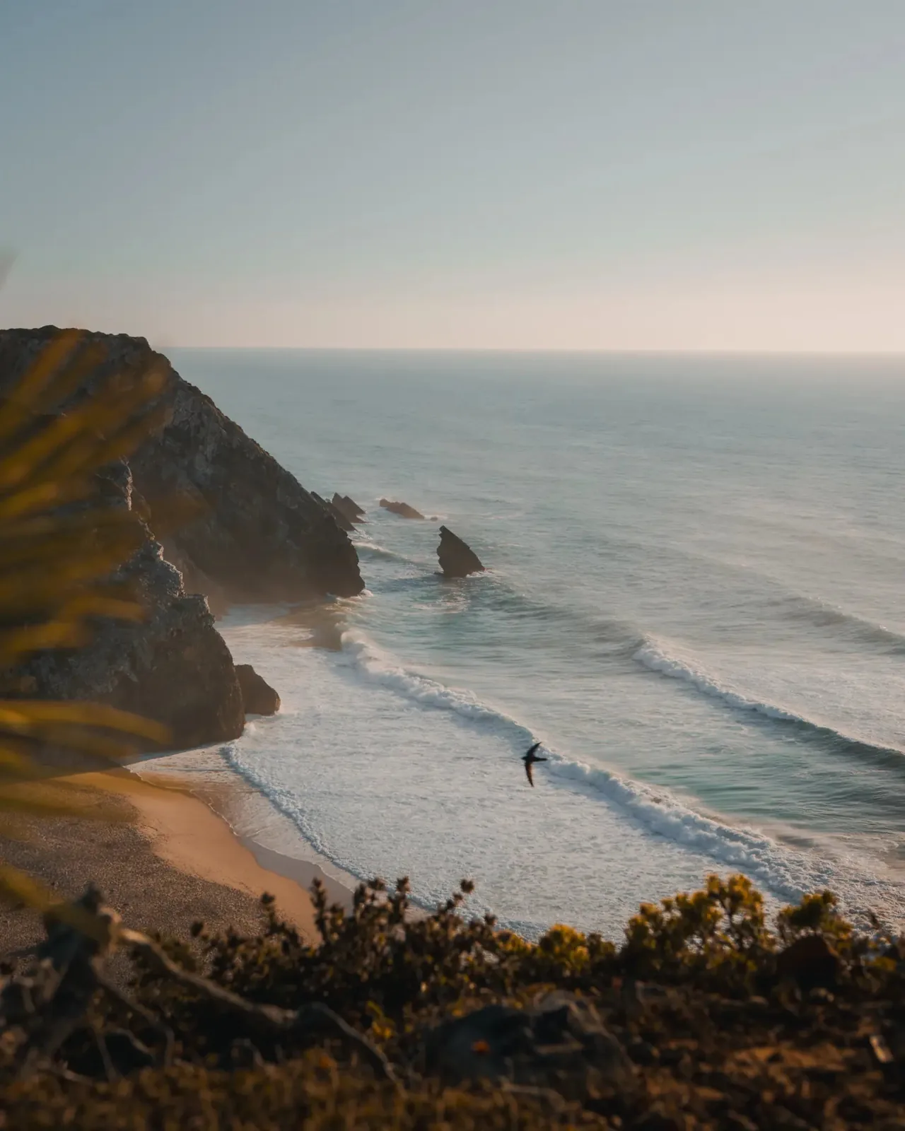 Adraga — The Surfer & The Bird, fine art photography print